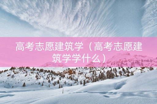 高考志愿建筑学（高考志愿建筑学学什么）
