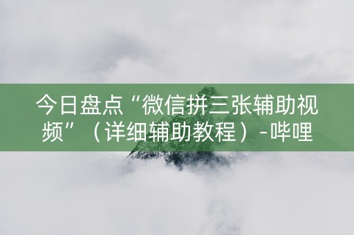 今日盘点“微信拼三张辅助视频”（详细辅助教程）-哔哩哔哩