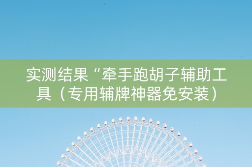 实测结果“牵手跑胡子辅助工具（专用辅牌神器免安装）