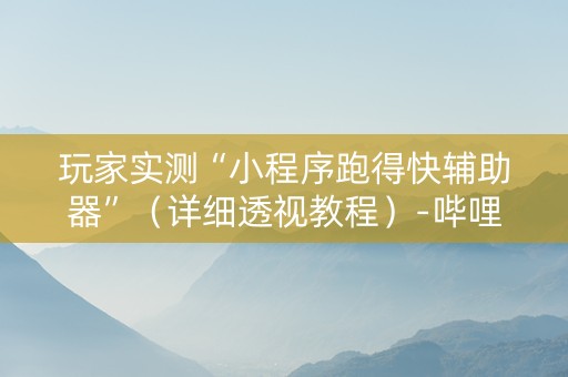 玩家实测“小程序跑得快辅助器”（详细透视教程）-哔哩哔哩