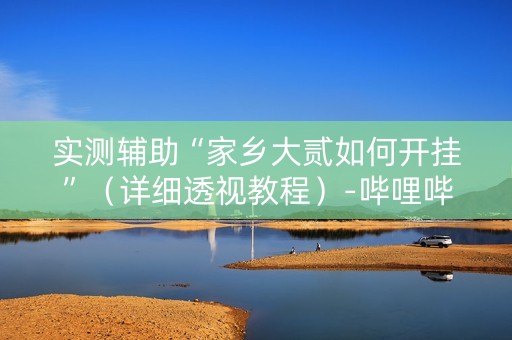 实测辅助“家乡大贰如何开挂”（详细透视教程）-哔哩哔哩