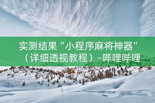 实测结果“小程序麻将神器”（详细透视教程）-哔哩哔哩