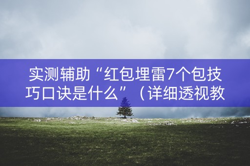 实测辅助“红包埋雷7个包技巧口诀是什么”（详细透视教程）-哔哩哔哩