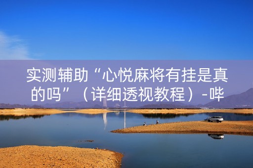 实测辅助“心悦麻将有挂是真的吗”（详细透视教程）-哔哩哔哩
