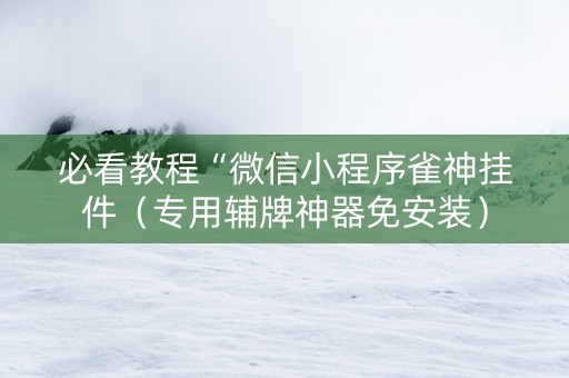 必看教程“微信小程序雀神挂件（专用辅牌神器免安装）