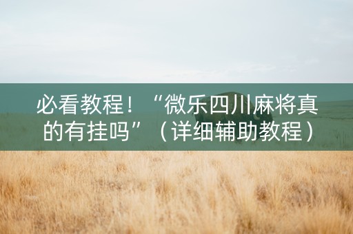必看教程！“微乐四川麻将真的有挂吗”（详细辅助教程）-哔哩哔哩