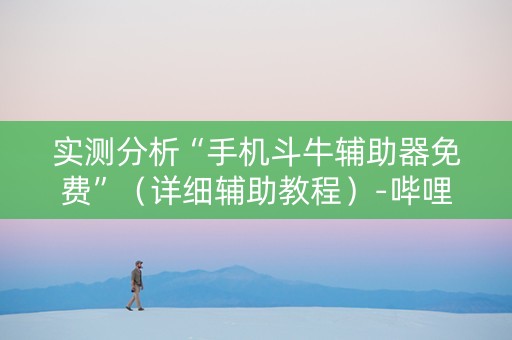 实测分析“手机斗牛辅助器免费”（详细辅助教程）-哔哩哔哩
