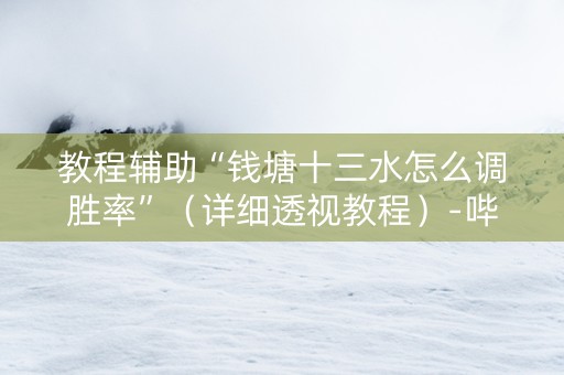 教程辅助“钱塘十三水怎么调胜率”（详细透视教程）-哔哩哔哩