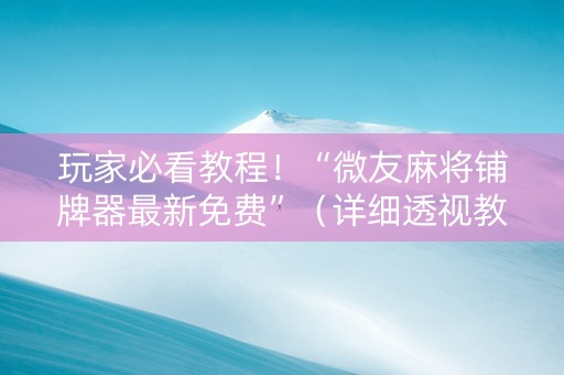 玩家必看教程！“微友麻将铺牌器最新免费”（详细透视教程）-哔哩哔哩