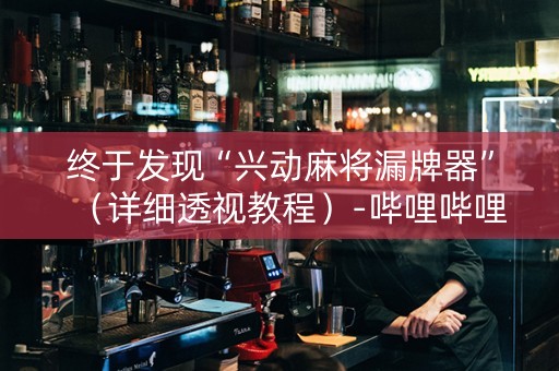 终于发现“兴动麻将漏牌器”（详细透视教程）-哔哩哔哩