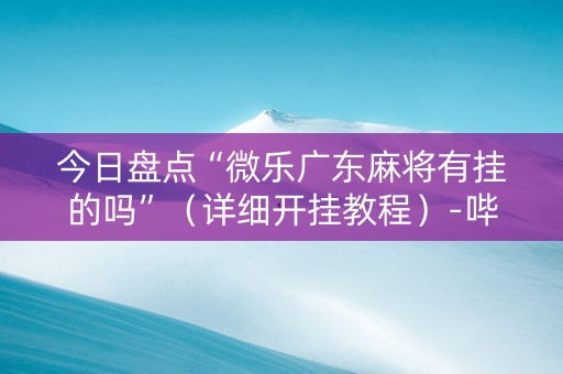 今日盘点“微乐广东麻将有挂的吗”（详细开挂教程）-哔哩哔哩