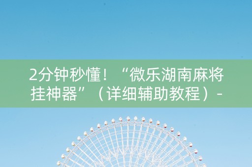 2分钟秒懂！“微乐湖南麻将挂神器”（详细辅助教程）-哔哩哔哩