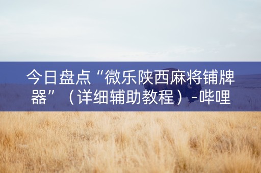 今日盘点“微乐陕西麻将铺牌器”（详细辅助教程）-哔哩哔哩