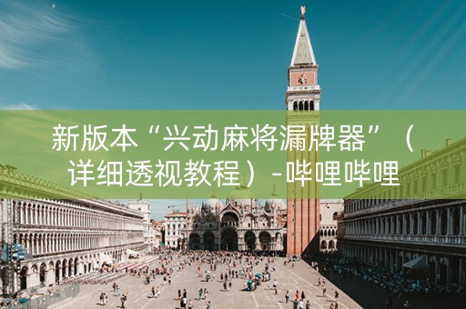 新版本“兴动麻将漏牌器”（详细透视教程）-哔哩哔哩