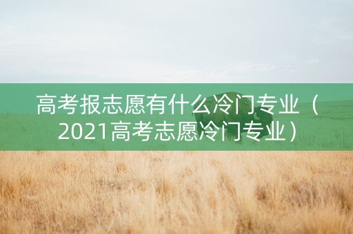 高考报志愿有什么冷门专业（2021高考志愿冷门专业）