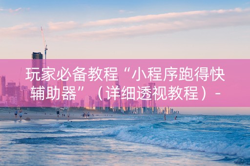 玩家必备教程“小程序跑得快辅助器”（详细透视教程）-哔哩哔哩