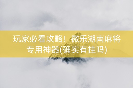 玩家必看攻略！微乐湖南麻将专用神器(确实有挂吗)