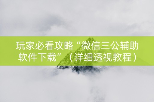 玩家必看攻略“微信三公辅助软件下载”（详细透视教程）-哔哩哔哩