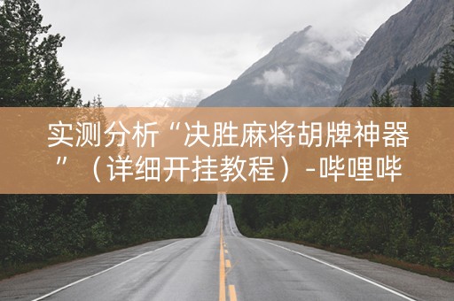 实测分析“决胜麻将胡牌神器”（详细开挂教程）-哔哩哔哩