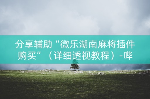 分享辅助“微乐湖南麻将插件购买”（详细透视教程）-哔哩哔哩