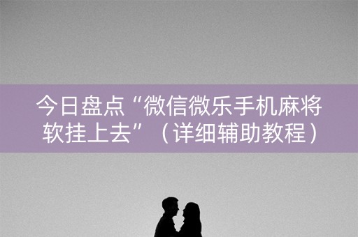 今日盘点“微信微乐手机麻将软挂上去”（详细辅助教程）-哔哩哔哩