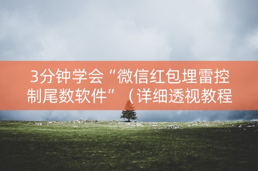 3分钟学会“微信红包埋雷控制尾数软件”（详细透视教程）-哔哩哔哩