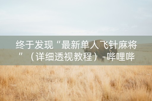 终于发现“最新单人飞针麻将”（详细透视教程）-哔哩哔哩