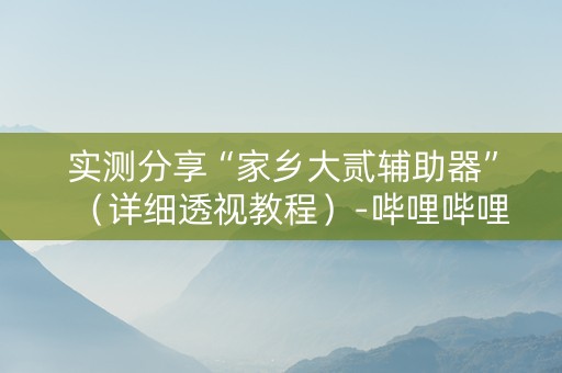 实测分享“家乡大贰辅助器”（详细透视教程）-哔哩哔哩