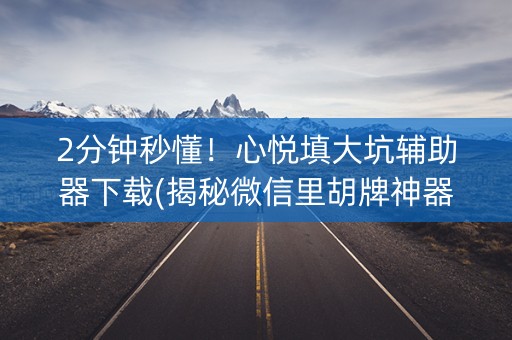2分钟秒懂！心悦填大坑辅助器下载(揭秘微信里胡牌神器)
