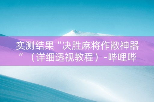 实测结果“决胜麻将作敝神器”（详细透视教程）-哔哩哔哩