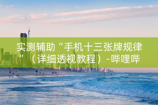 实测辅助“手机十三张牌规律”（详细透视教程）-哔哩哔哩