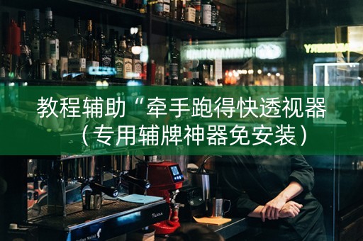 教程辅助“牵手跑得快透视器（专用辅牌神器免安装）