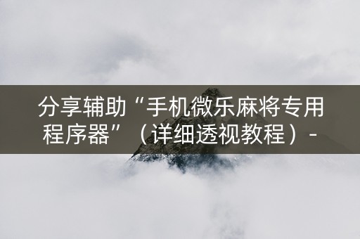 分享辅助“手机微乐麻将专用程序器”（详细透视教程）-哔哩哔哩