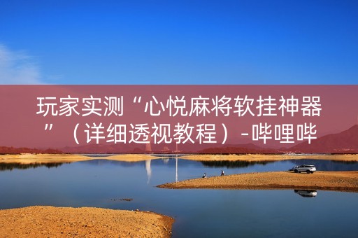 玩家实测“心悦麻将软挂神器”（详细透视教程）-哔哩哔哩