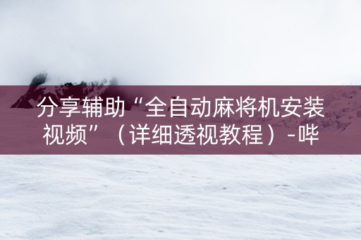 分享辅助“全自动麻将机安装视频”（详细透视教程）-哔哩哔哩