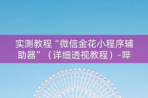 实测教程“微信金花小程序辅助器”（详细透视教程）-哔哩哔哩