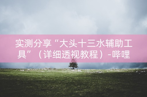 实测分享“大头十三水辅助工具”（详细透视教程）-哔哩哔哩