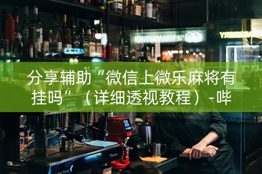 分享辅助“微信上微乐麻将有挂吗”（详细透视教程）-哔哩哔哩