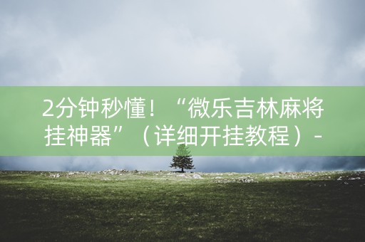 2分钟秒懂！“微乐吉林麻将挂神器”（详细开挂教程）-哔哩哔哩