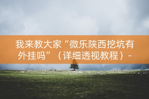 我来教大家“微乐陕西挖坑有外挂吗”（详细透视教程）-哔哩哔哩