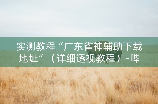 实测教程“广东雀神辅助下载地址”（详细透视教程）-哔哩哔哩