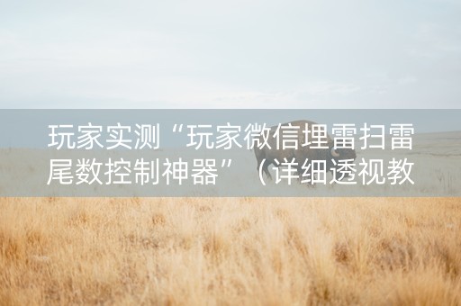 玩家实测“玩家微信埋雷扫雷尾数控制神器”（详细透视教程）-哔哩哔哩