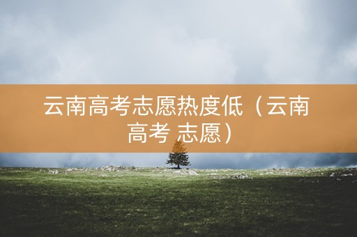 云南高考志愿热度低（云南 高考 志愿）