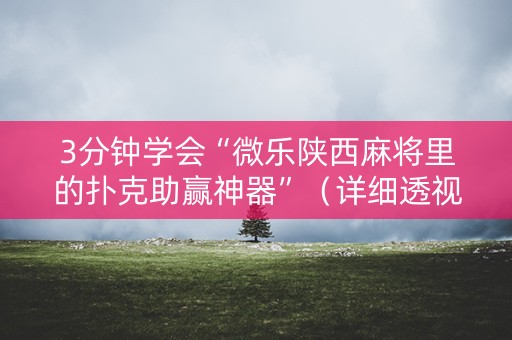 3分钟学会“微乐陕西麻将里的扑克助赢神器”（详细透视教程）-哔哩哔哩