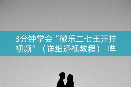 3分钟学会“微乐二七王开挂视频”（详细透视教程）-哔哩哔哩