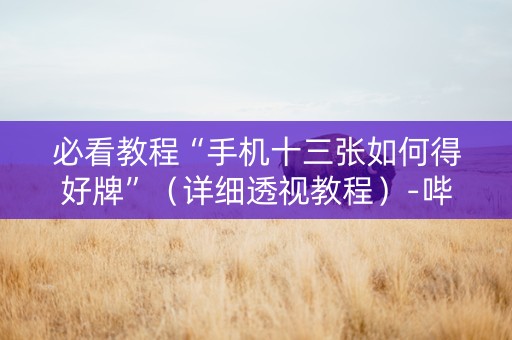 必看教程“手机十三张如何得好牌”（详细透视教程）-哔哩哔哩
