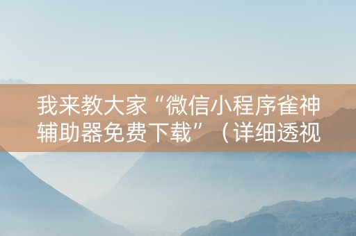我来教大家“微信小程序雀神辅助器免费下载”（详细透视教程）-哔哩哔哩