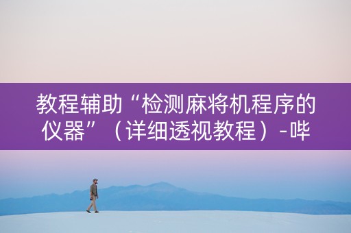 教程辅助“检测麻将机程序的仪器”（详细透视教程）-哔哩哔哩