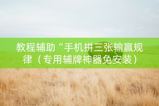 教程辅助“手机拼三张输赢规律（专用辅牌神器免安装）
