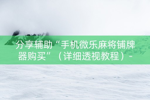 分享辅助“手机微乐麻将铺牌器购买”（详细透视教程）-哔哩哔哩